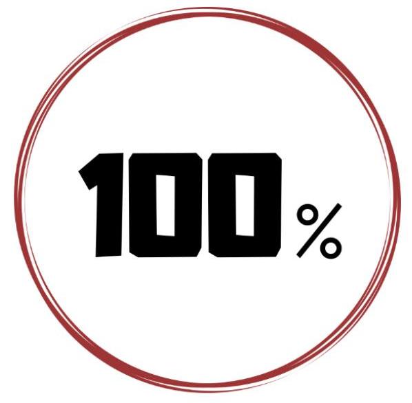 100% - ESTRUTURA